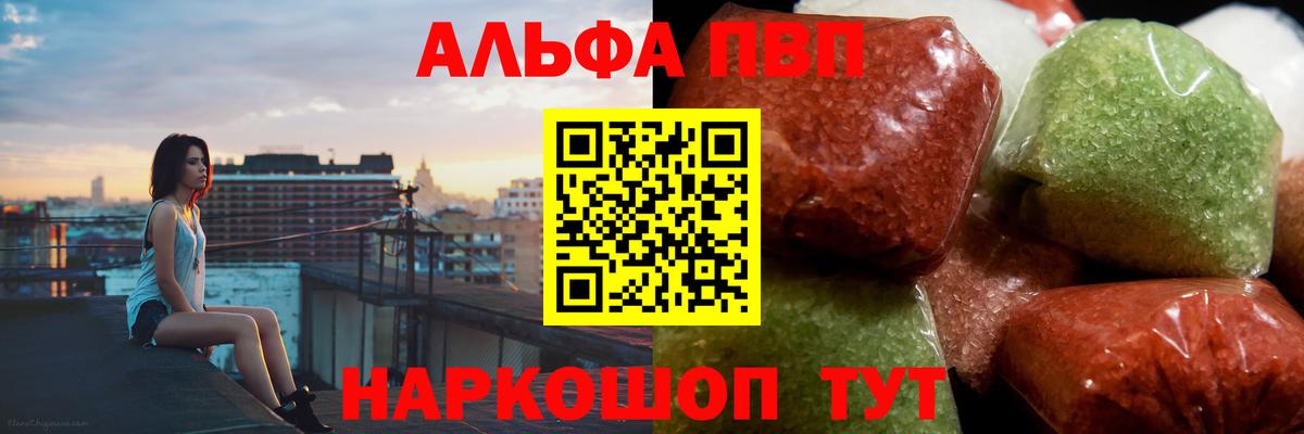 A PVP СК Новосибирск