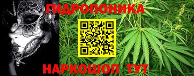 индика Гагарин